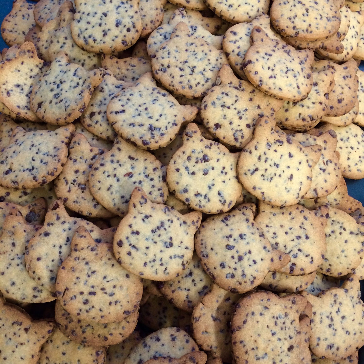 sablés pépites de chocolat